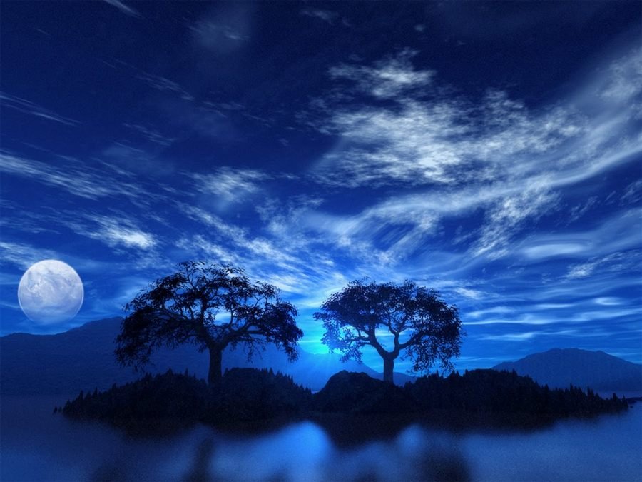Árboles en silueta bajo un cielo nocturno azul