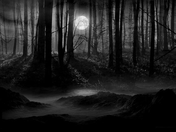 Bosque oscuro bajo la luna llena, en blanco y negro