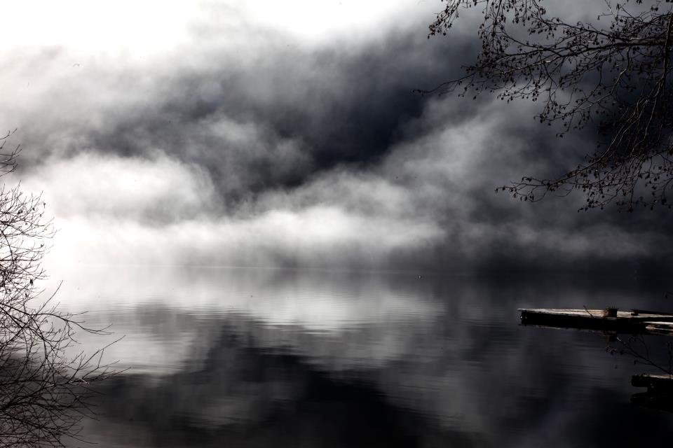 Niebla sobre un lago, en blanco y negro, entre ramas desnudas