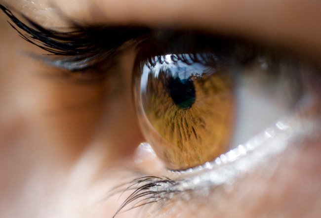 Primer plano de un ojo de iris ámbar